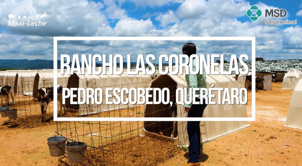 Rancho Las Coronelas