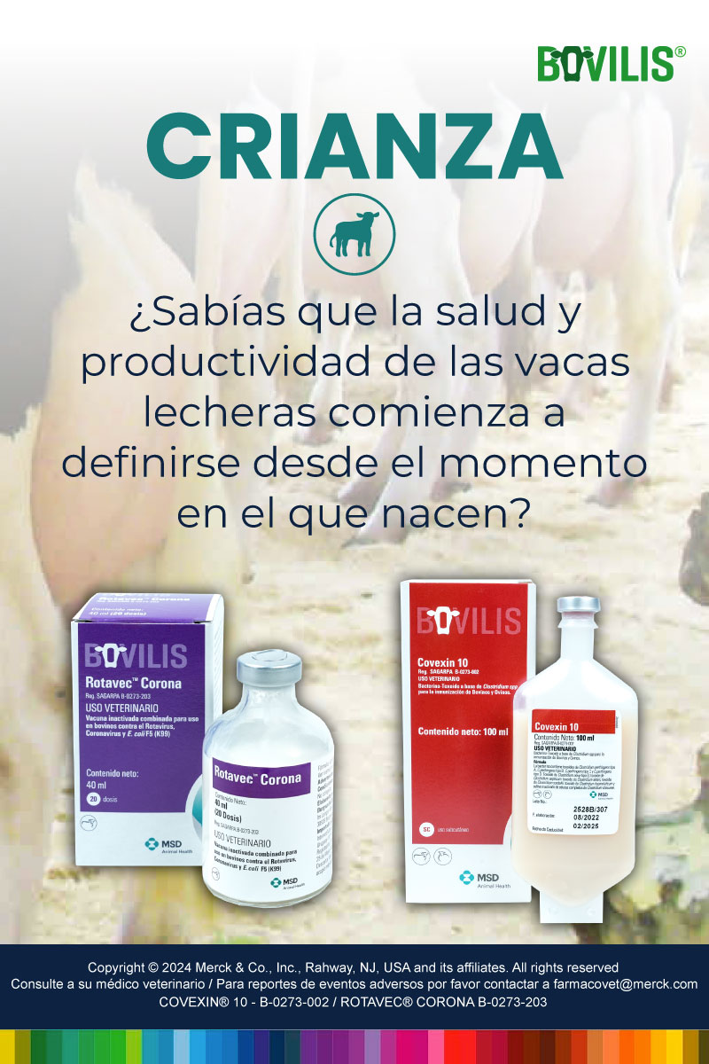 crianza maxileche mobile