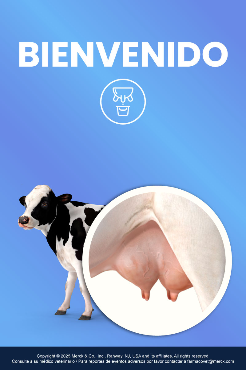 Bienvenido a Maxileche