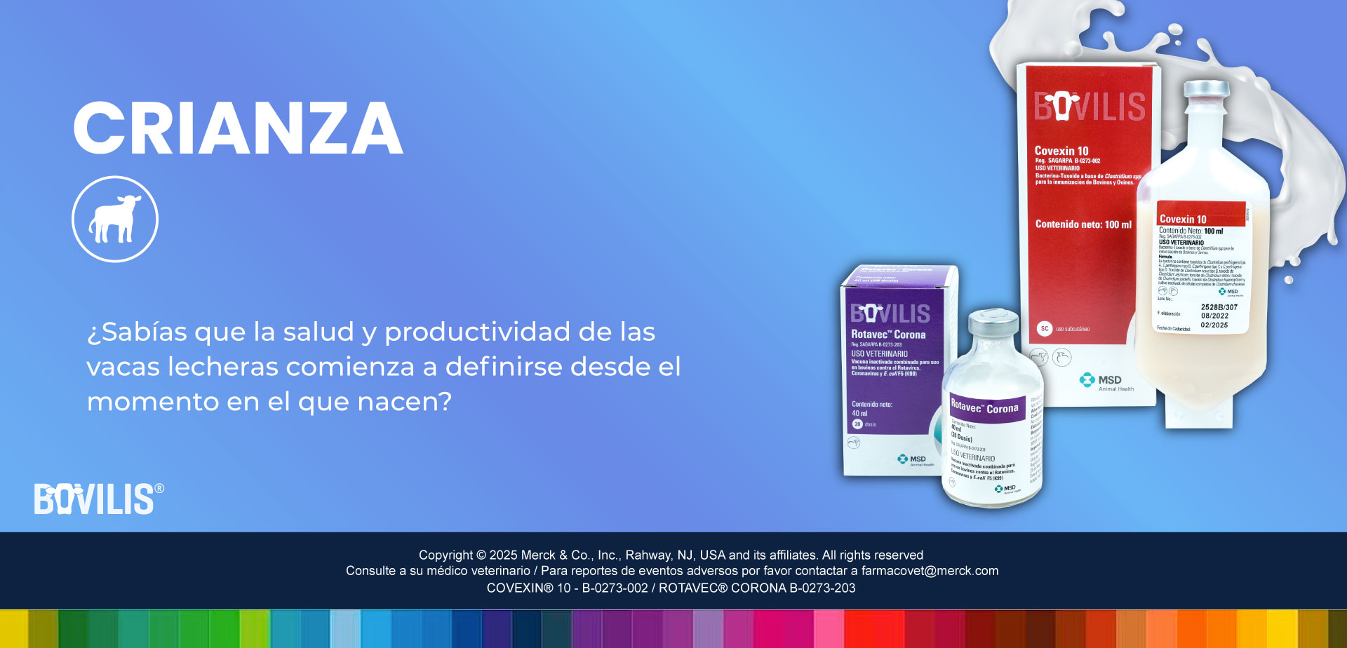 CRIANZA DE VACAS LECHERAS