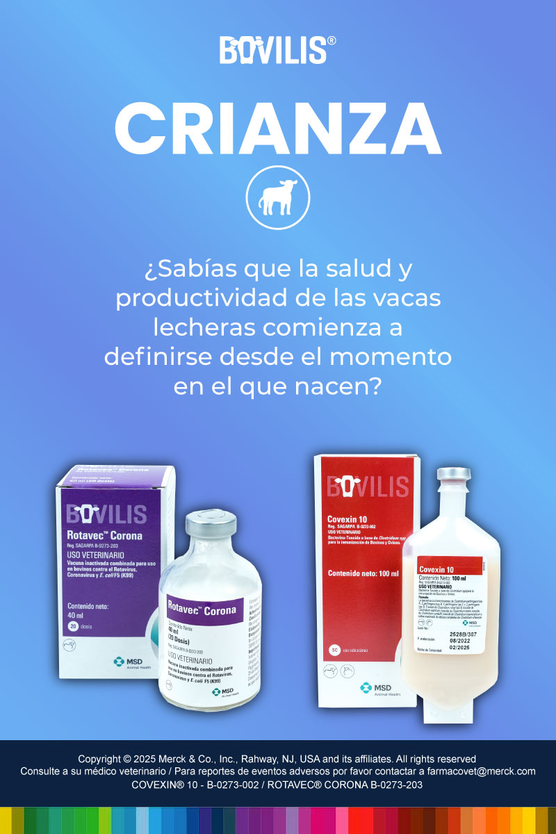 crianza maxileche mobile