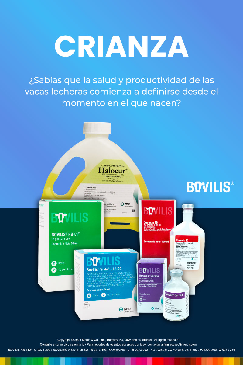 Crianza en Maxileche_mobile