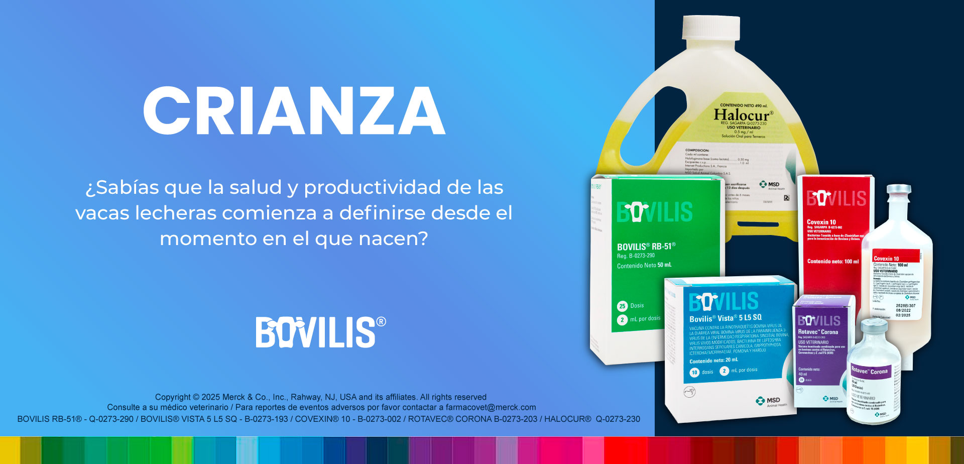 Crianza en Maxileche