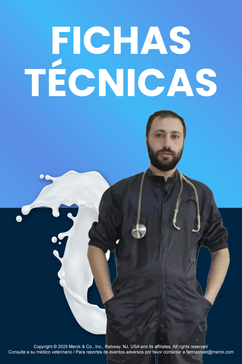 Fichas técnicas en Maxileche_mobile