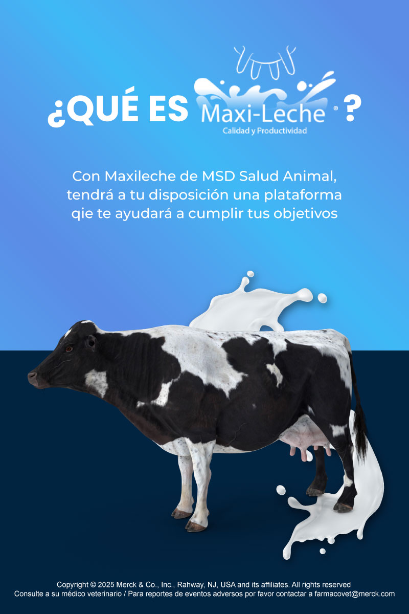 Qué es Maxileche_mobile