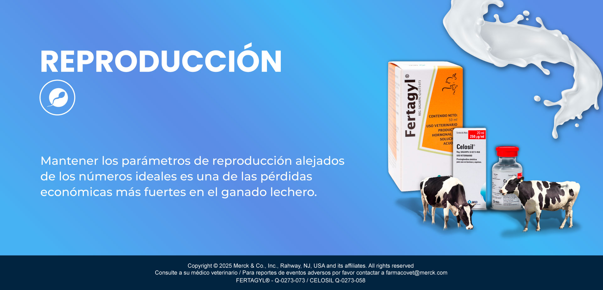 REPRODUCCIÓN DE VACA LECHERA