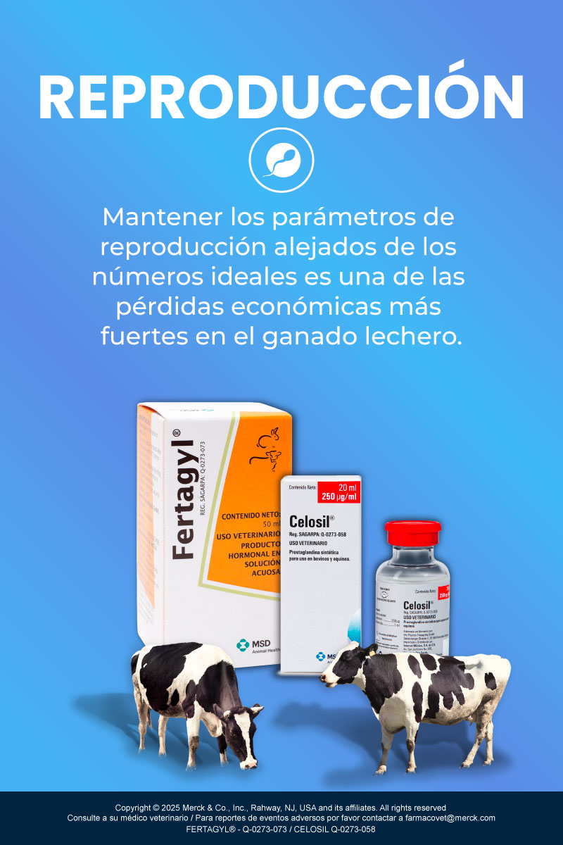 REPRODUCCIÓN DE VACA LECHERA